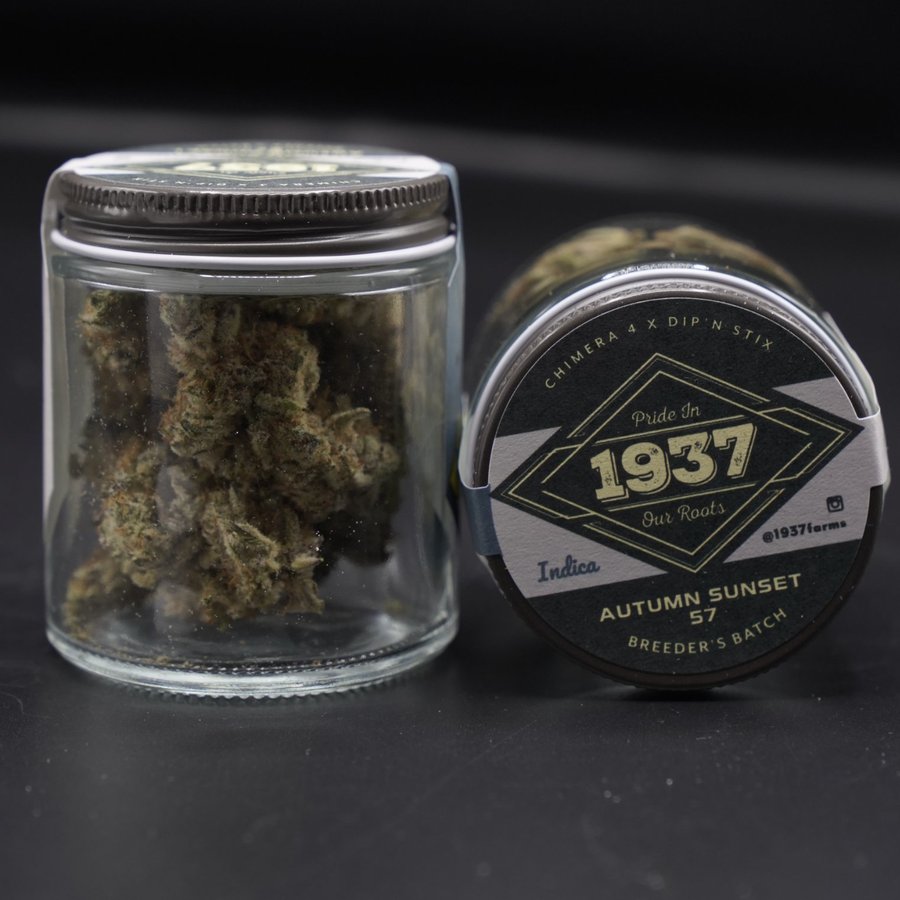 1937 Farms Autumn Sunset 57 Breeder's Batch jar and lid